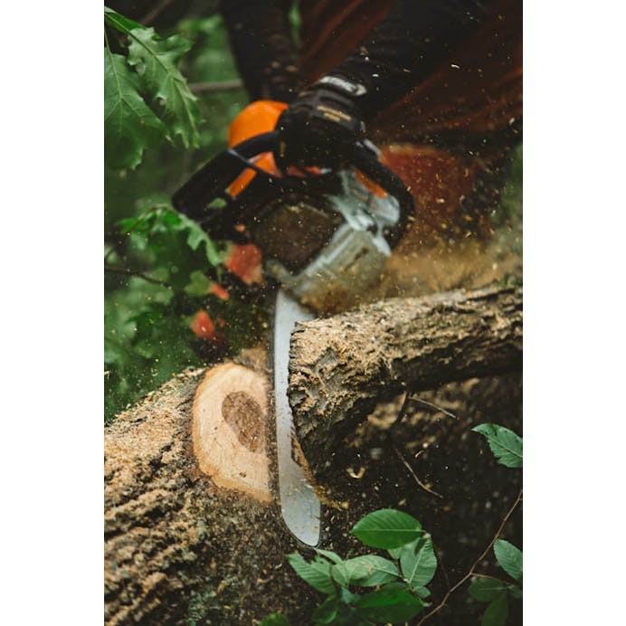STIHL® MS 462 C-M with 25 inch bar and chain