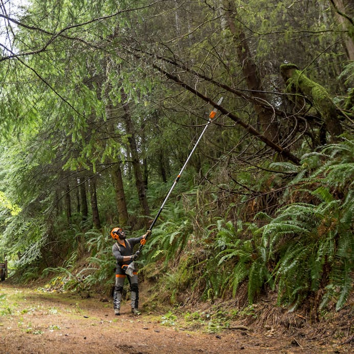 STIHL® HT135
