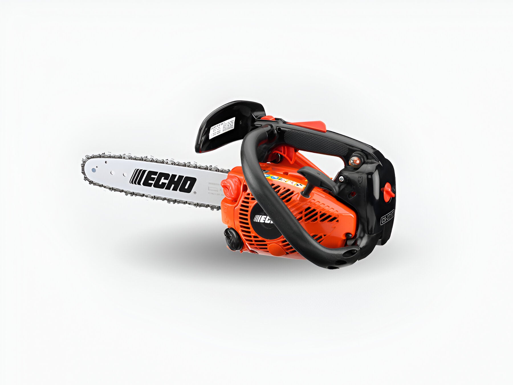 Echo CS271T